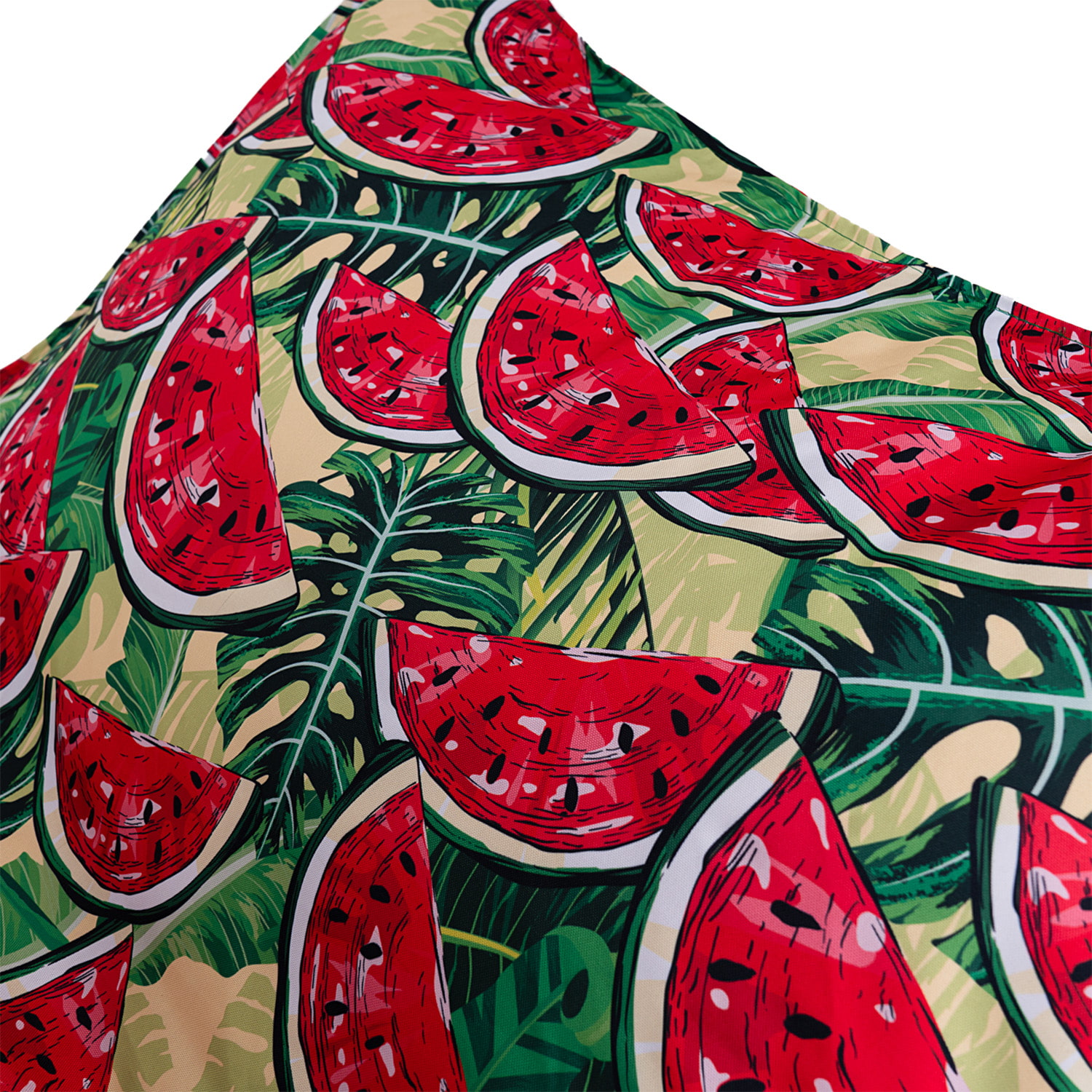 Крісло лежак SanchoBAG Print Watermellon
