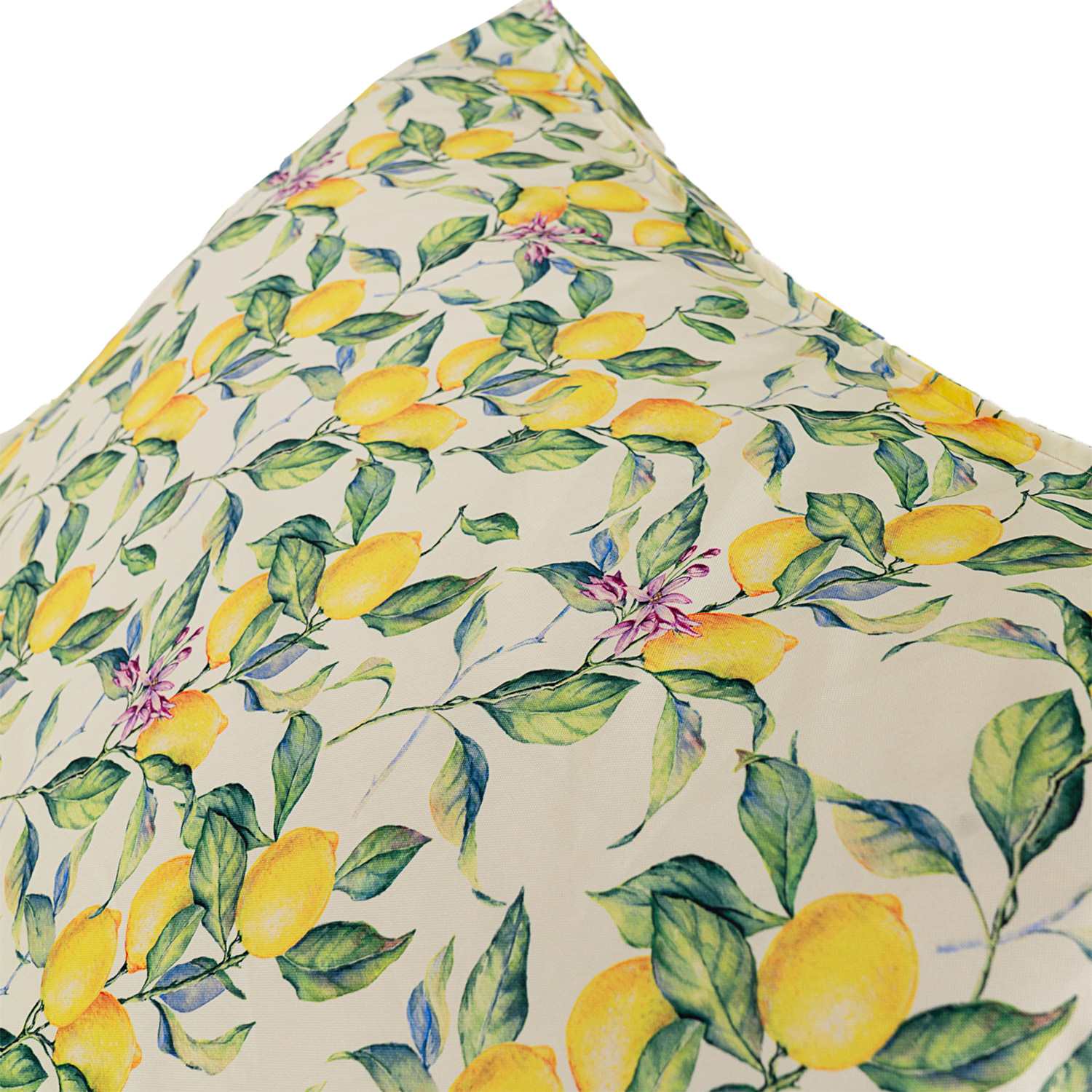 Крісло лежак SanchoBAG Print Lemon