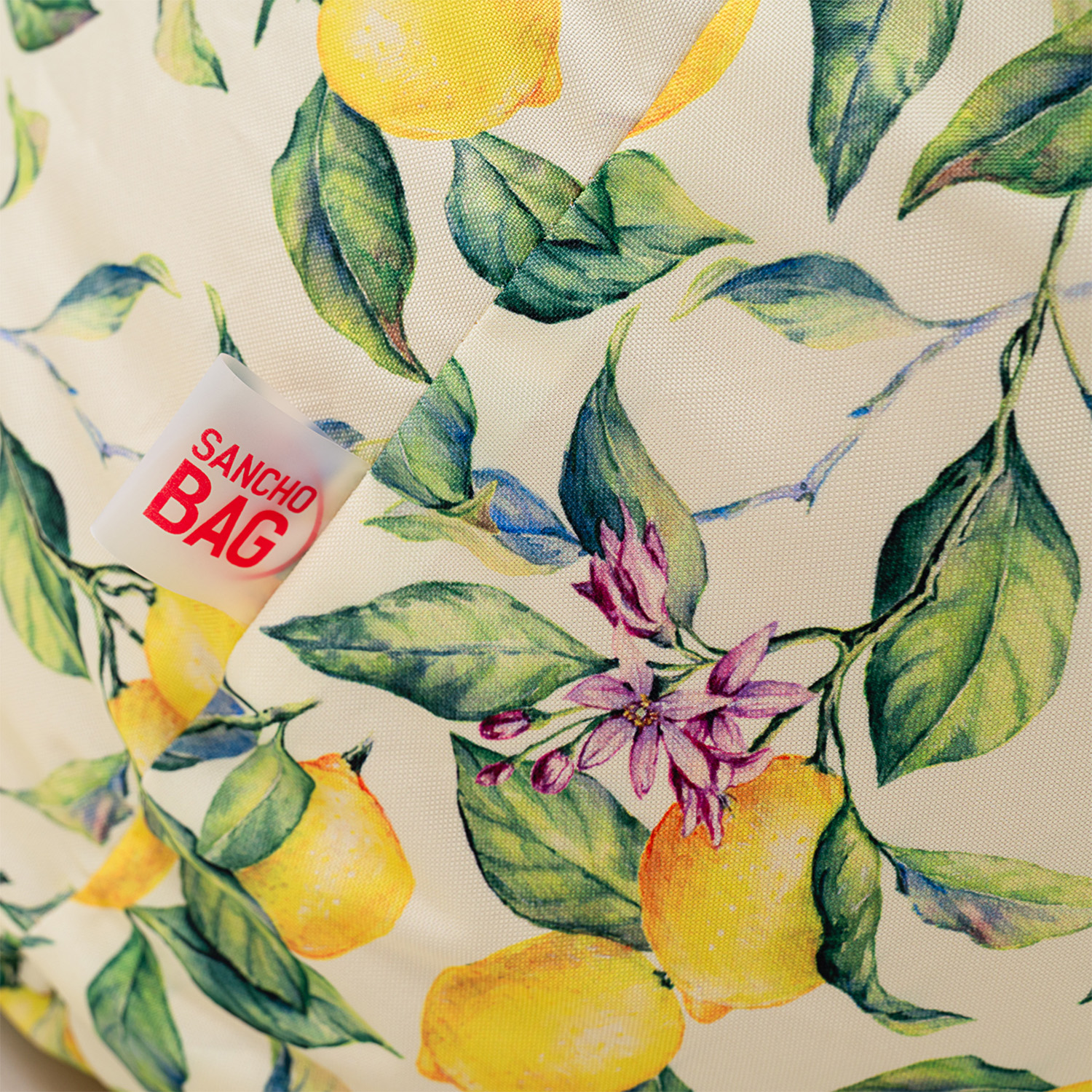 Крісло лежак SanchoBAG Print Lemon