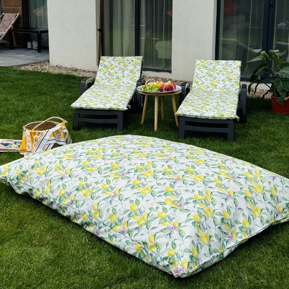 Крісло мат Print Lemon